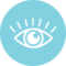 05. Visual perception